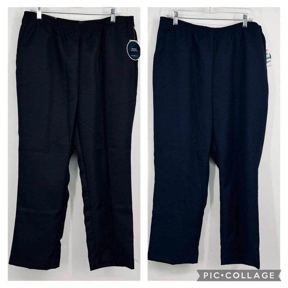 Lot Of 2 Karen Scott Women's Deep Black Blue Elastic Waist Casual Pants 0X